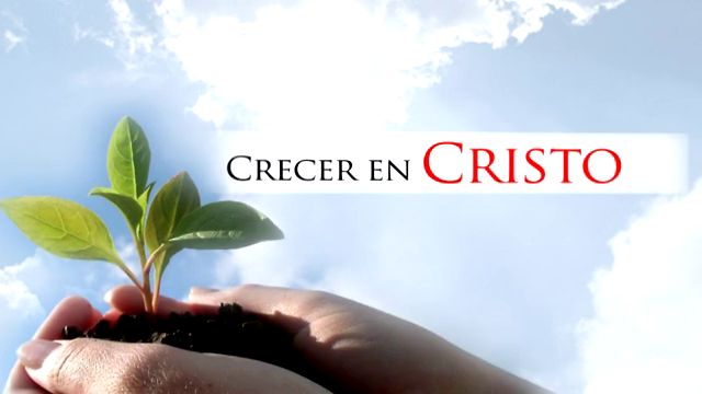 crecer en risto