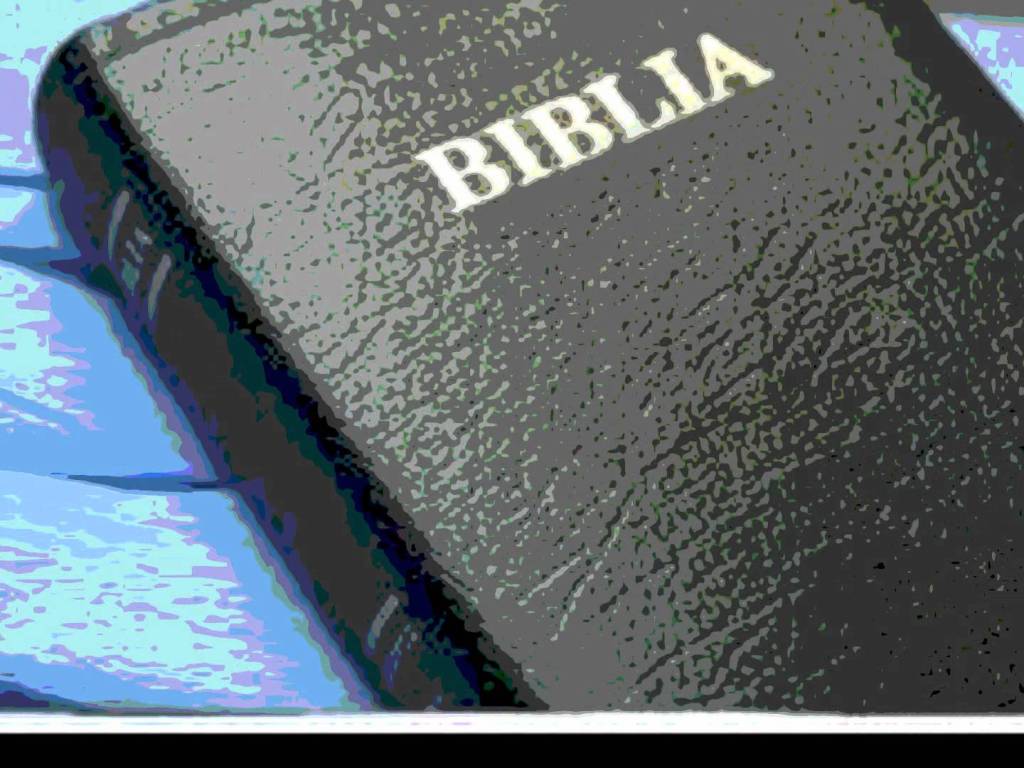 251 Con o Sin&nbsp;Compromiso