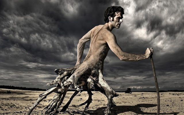 (163) La Raíz de Amargura