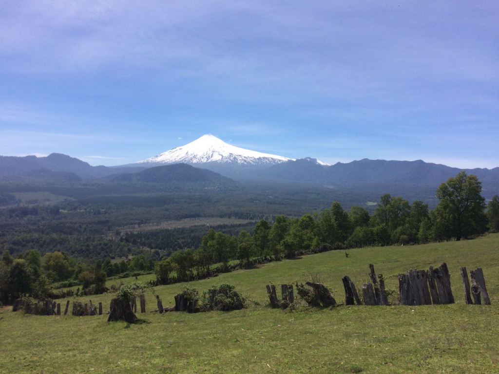 354  Tres miradas tres&nbsp;Propósitos